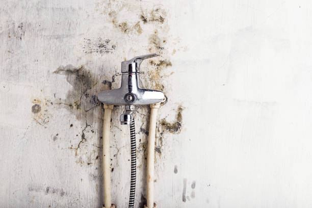 Water Damage Restoration in North Bellmore, NY